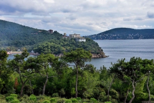 From Istanbul: Princess Islands Guided Day Trip by Ferry