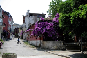 From Istanbul: Princess Islands Guided Day Trip by Ferry