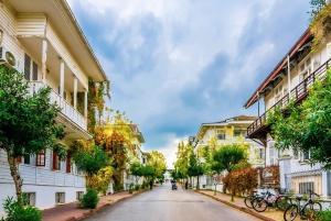 From Istanbul: Princess Islands Guided Day Trip by Ferry