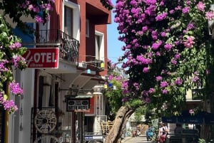 From Istanbul: Princess Islands Guided Tour