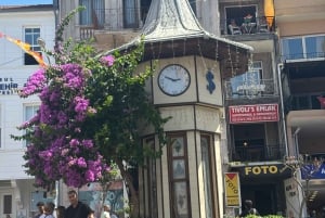 From Istanbul: Princess Islands Guided Tour