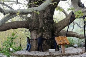 From Istanbul: Private Bursa City Day Trip