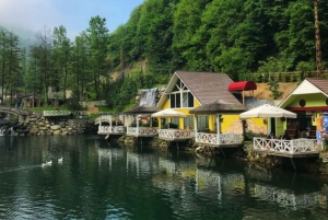 From Istanbul: Sapanca and Masukiye Day Trip with Lunch