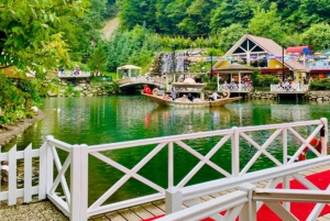 From Istanbul: Sapanca and Masukiye Day Trip with Lunch