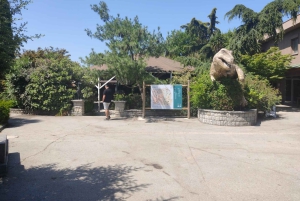 From Istanbul: Sapanca Lake & Masukiye Tour with Lunch