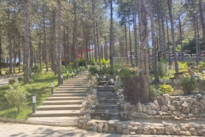 From Istanbul: Sapanca Lake & Masukiye Tour with Lunch