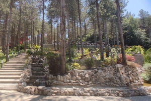 From Istanbul: Sapanca Lake & Masukiye Tour with Lunch