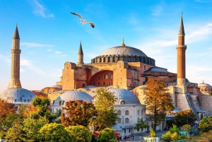 Combo: Hagia Sophia+Basilica Cistern Optional Topkapi Palace