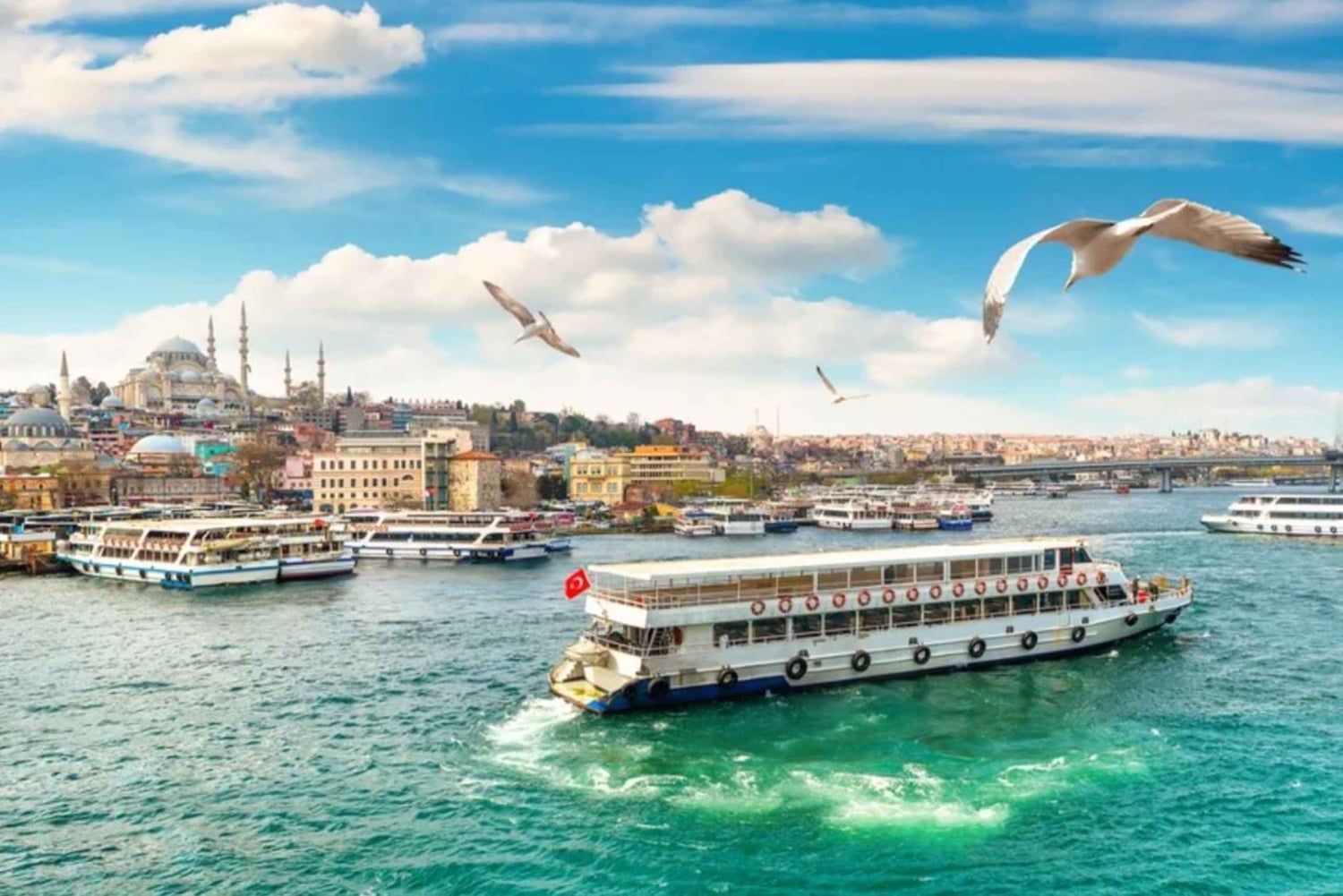 Hagia Sophia, Bosphorus cruise Blue Mosque, Small Group tour