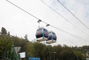 Highlights of Asia & Europe, Coach & Cruise tour Small Group