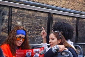 Istanbul: Hop-On Hop-Off Bus Ticket