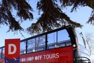 Istanbul: Hop-On Hop-Off Bus Ticket