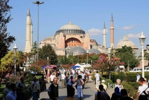 Istanbul: 1, 2 or 3-Day Private City Guided Tour