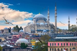 Istanbul: 1, 2 or 3-Day Private City Guided Tour
