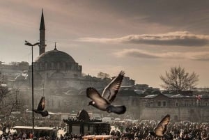 Istanbul: 1, 2 or 3-Day Private City Guided Tour