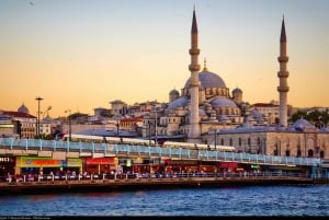 Istanbul: 1, 2 or 3-Day Private City Guided Tour