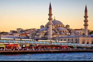 Istanbul: 1, 2 or 3-Day Private City Guided Tour