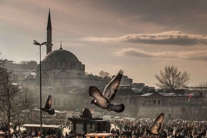 Istanbul: 1 or 2 -Day Private Guided City Tour