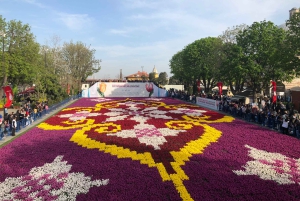 Istanbul: 1 or 2 -Day Private Guided City Tour