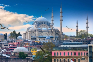Istanbul: 1 or 2 -Day Private Guided City Tour