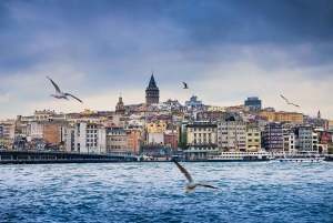 Istanbul: 1 or 2 -Day Private Guided City Tour