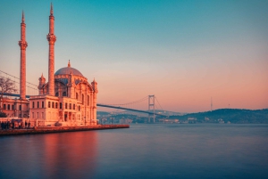 Istanbul: 1 or 2 -Day Private Guided City Tour