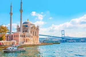 Istanbul: 1 or 2-Day Private Guided Tour with Hotel Transfer