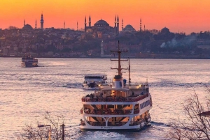 Istanbul: 1 or 2-Day Private Guided Tour with Hotel Transfer
