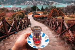 Istanbul: 1 or 2-Day Private Guided Tour with Hotel Transfer