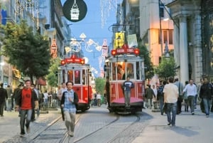 Istanbul: 1 or 2-Day Private Guided Tour with Hotel Transfer