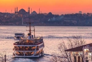 Istanbul: 1 or 2-Day Private Guided Tour with Hotel Transfer
