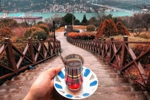 Istanbul: 1 or 2-Day Private Guided Tour with Hotel Transfer