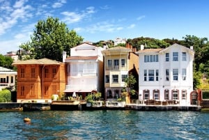 Istanbul 2-Hour Private Bosphorus Yacht Tour