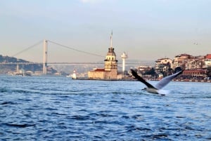 Sunset Bosphorus Yacht Tour with Golden Horn View