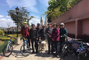 Istanbul 3-Hour Old City Tour by Bicycle