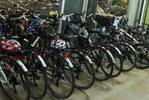 Istanbul 3-Hour Old City Tour by Bicycle