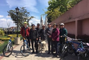 Istanbul 3-Hour Old City Tour by Bicycle