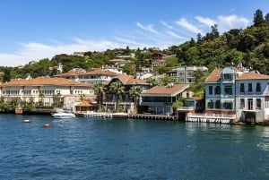 İstanbul: Afternoon Bosphorus and Black Sea Cruise