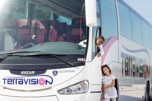 Istanbul Airport (SAW): Shuttle service from/to city central