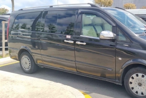 Istanbul City Tour: Private Car Hire with a Driver