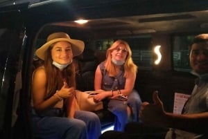 Istanbul City Tour: Private Car Hire with a Driver