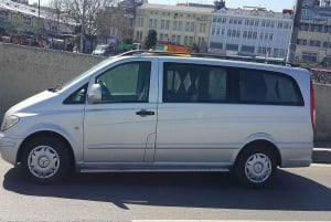 Istanbul City Tour: Private Car Hire with a Driver