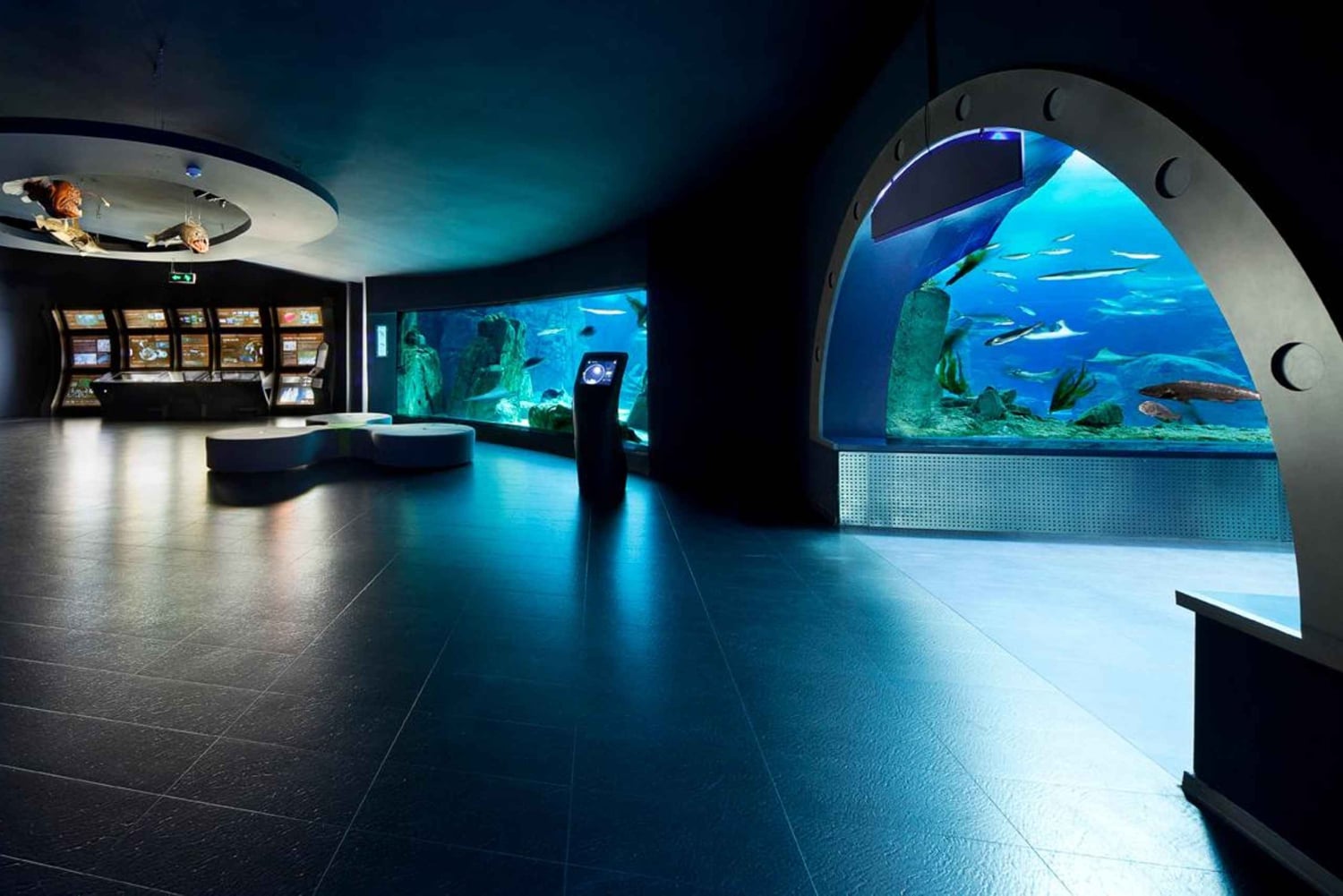 Istanbul Aquarium and Aqua Florya Shopping Mall Tour
