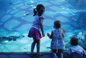 Istanbul Aquarium and Aqua Florya Shopping Mall Tour