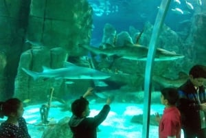 Istanbul Aquarium and Aqua Florya Shopping Mall Tour