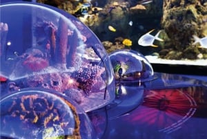 Istanbul Aquarium and Aqua Florya Shopping Mall Tour