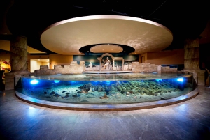Istanbul Aquarium and Aqua Florya Shopping Mall Tour