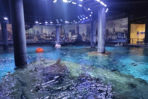 Istanbul: Aquarium Ticket and Round Trip Shuttle from Taksim