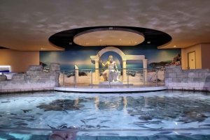 Istanbul: Aquarium Ticket and Round Trip Shuttle from Taksim