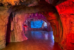 Istanbul: Aquarium Ticket and Round Trip Shuttle from Taksim